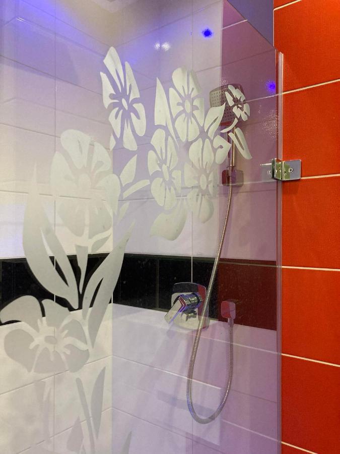 Apartament Miodowa 9 Zwierzyniec Kültér fotó