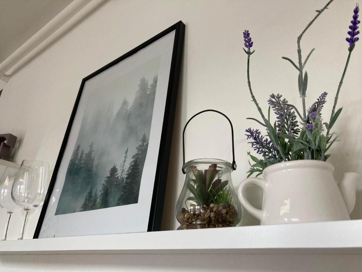 Apartament Miodowa 9 Zwierzyniec Kültér fotó