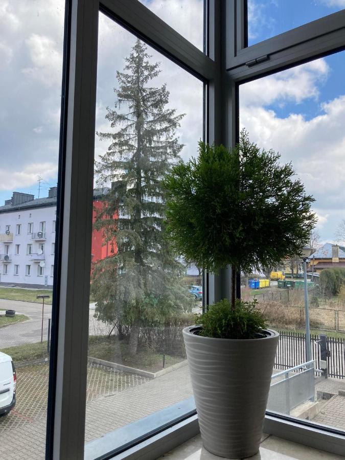 Apartament Miodowa 9 Zwierzyniec Kültér fotó